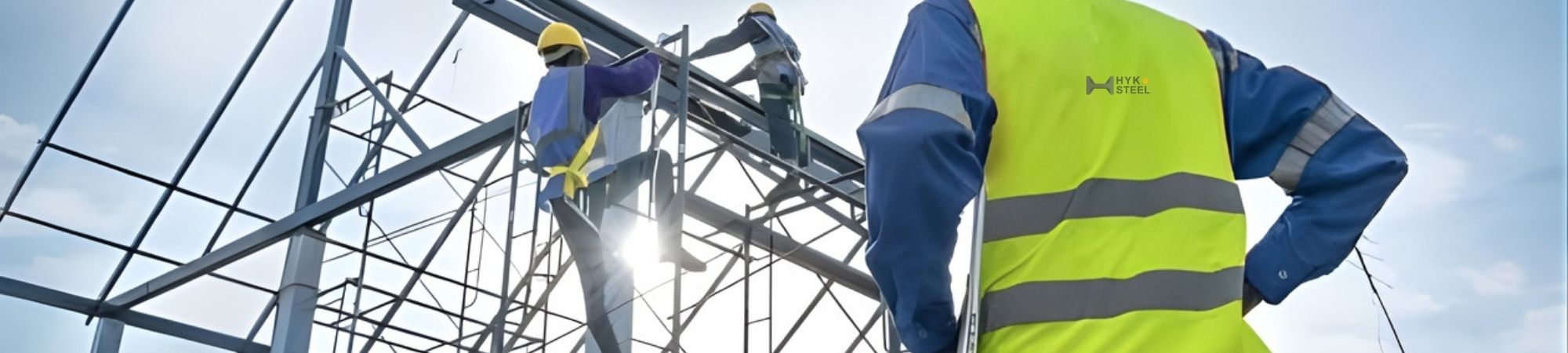 Project Management & Coordination